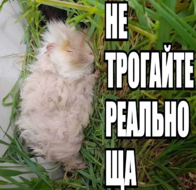Post media