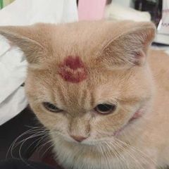 нура, что сегодня? avatar