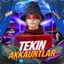 TEKIN AKKAUNTLAR Avatar