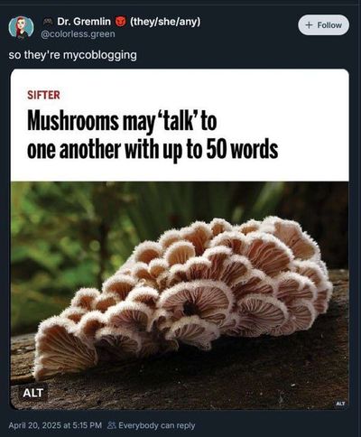 Post media