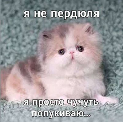 Post media