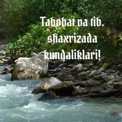 Shaxrizada kundaliklari... Tabobat va Tib...🍀☘ avatar