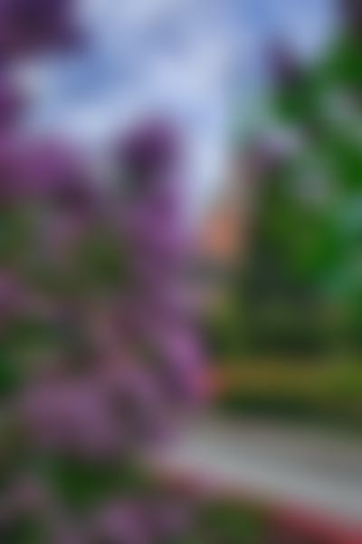 Post media background