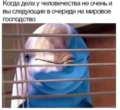 Post media