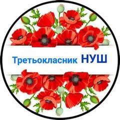 НУШ-3 avatar