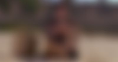 Post media background