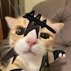 ^᪲Mouthwash фп сетка^᪲ avatar