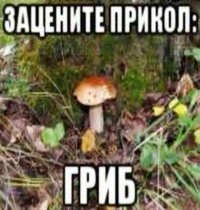 Post media