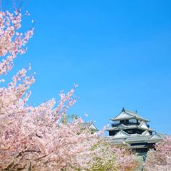 旅游素材 avatar
