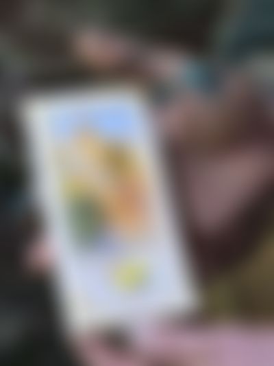Post media background
