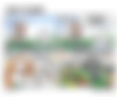 Post media background