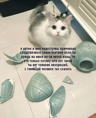 Post media