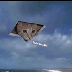 ✨Мемівниця✨ avatar