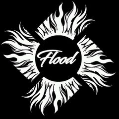 FLOOD -DeepFakes- avatar
