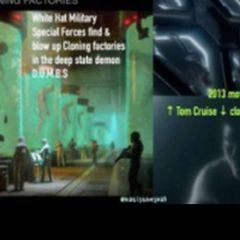 D.U.M.B.S – Special Qperations - UndergroundWar avatar