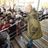 Graham Phillips Journalist