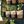 Smart Gardening Ideas avatar