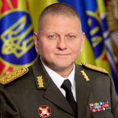 Залужний В.Ф. avatar