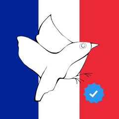 А как там в Париже?🇫🇷 avatar