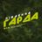 ПІВДЕННА ГАРДА (група)