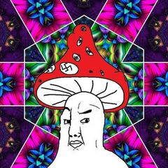 𝔑𝔢𝔴 𝔄𝔤𝔢𝔱𝔞𝔯𝔡 avatar