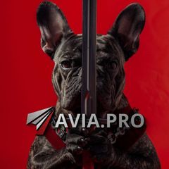 Avia.pro avatar