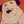 Freshly Buttered avatar