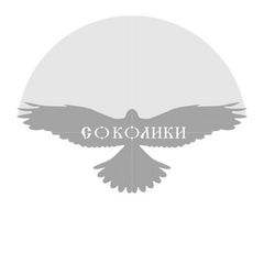 Соколики avatar