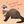 [anywhere] Department of Ferrets, Memetics, Cognitohazards and чіназес avatar
