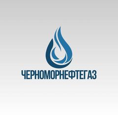 ООО «‎ЧМНГ» | Официальный канал avatar