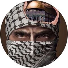 Nouvelles de Palestine avatar