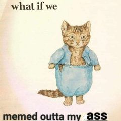 memes outta my ass avatar