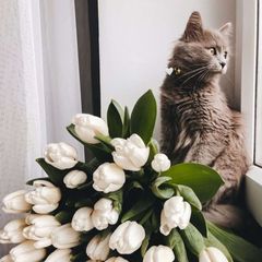 Шпалери/Обої на телефончик 🥰❤️🔥 avatar