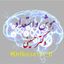 هوش و استعداد شغلی استخدامی دکتر حسینی رتبه اول Avatar