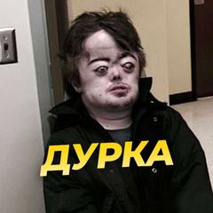 ДУРКА avatar