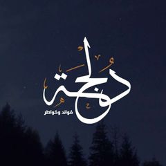 دُلْجَہ avatar