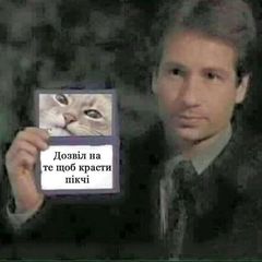 спиздив шось avatar
