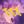 △Purple Thang Gold Hammers avatar