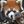 VK Screenshots avatar