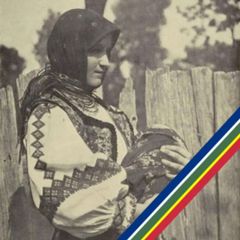 Карпаторусинська Нація avatar