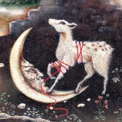 naloninochi avatar
