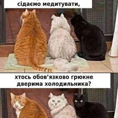 Тут будуть котики. Та інше. avatar