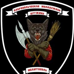 Добровольческая молодежная дружина avatar
