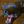Chupacabra Kennel avatar