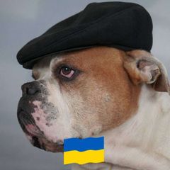 Амбуль Канзас avatar