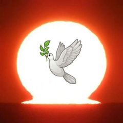 Nichts Neues unter der Sonne avatar
