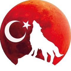 Стамбульский волк avatar