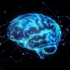 All about AI, Web 3.0, BCI avatar