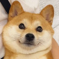 二狗福利站🈲淫妻换妻绿帽单男3p avatar