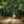 Dirt Road Discussions avatar